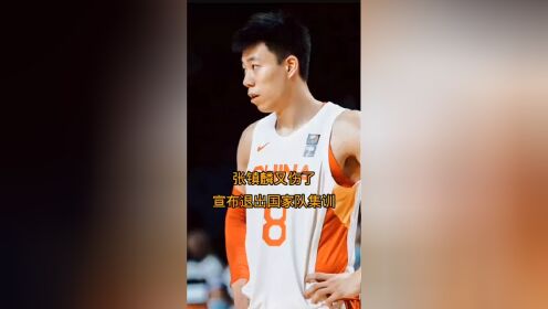 安博体育平台-张镇麟陈旧性伤病复发离开国家队返回俱乐部康复的简单介绍